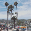 A picture of Los Angeles and palm trees