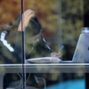 A student at a desk with a laptop